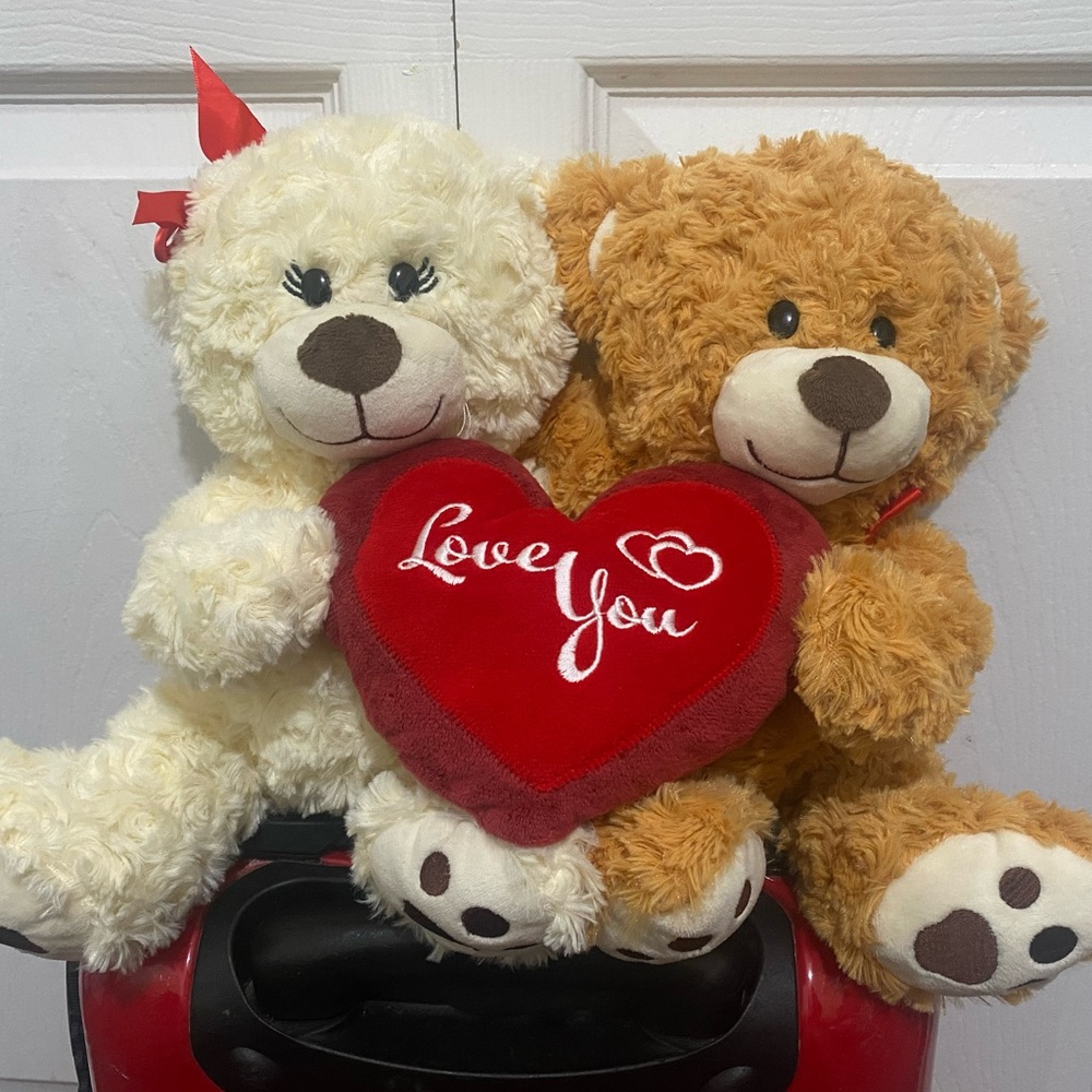 Beautiful Valentine’s Day Teddy Bear Set with “Love You” Heart – Romantic Gift